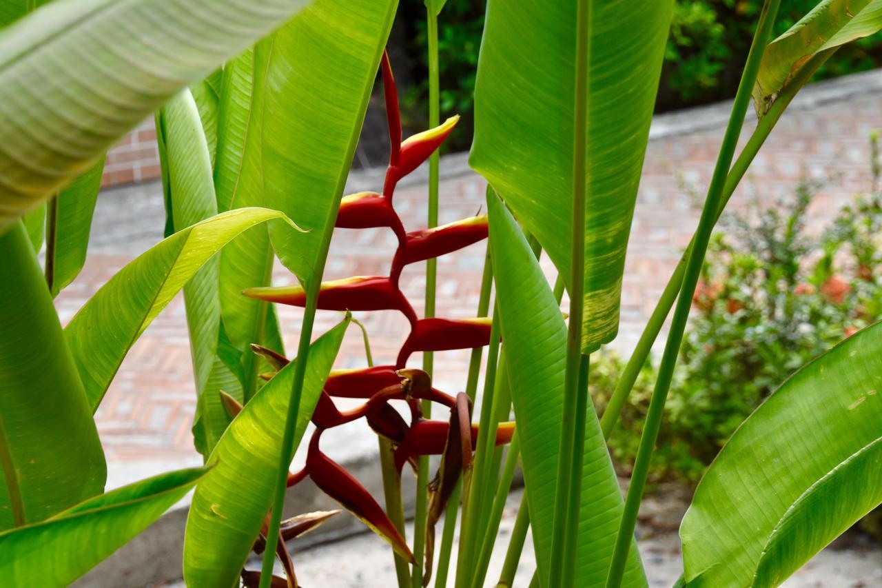 Magic Resort Lamai Beach (Koh Samui) Exterior foto