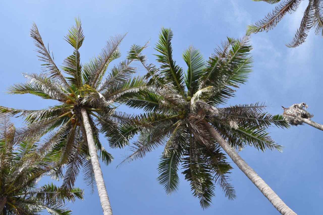 Magic Resort Lamai Beach (Koh Samui) Exterior foto